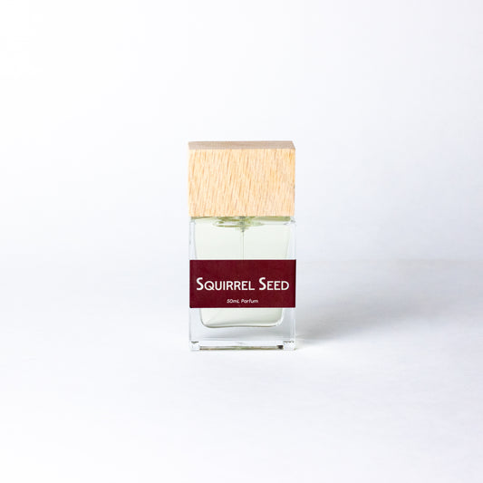 Squirrel Seed by DRYF, an artisanal fragrance combining juicy citrus and pomegranate with rich resins and musks for a mysterious, woodsy aroma.